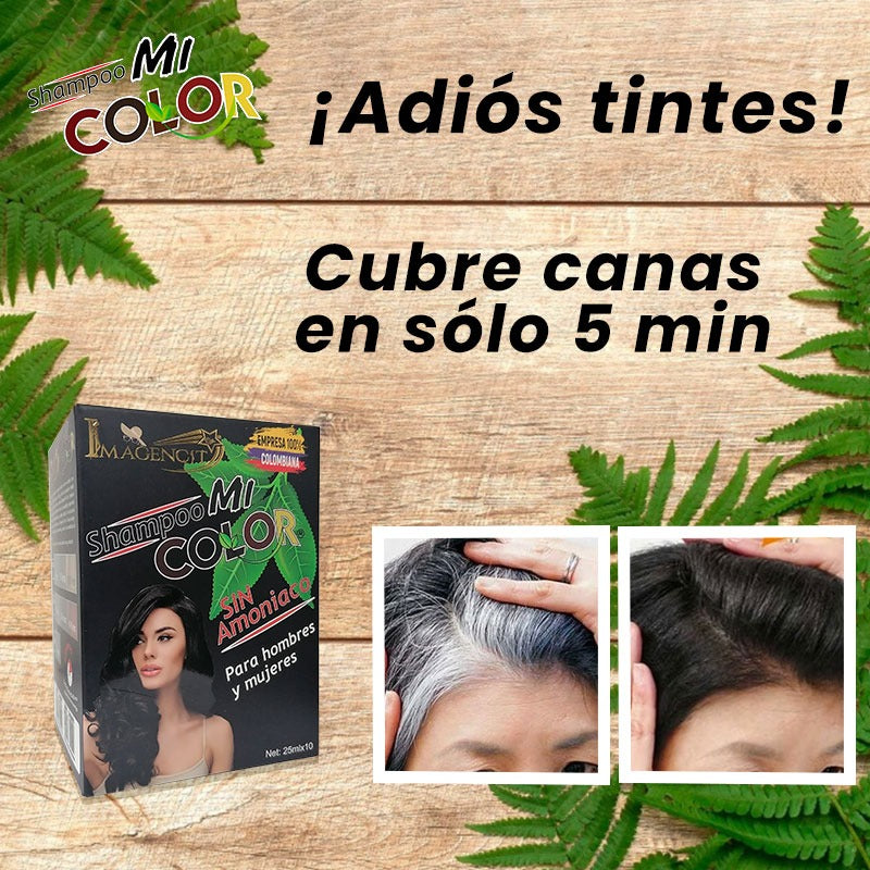 SHAMPOO CUBRE CANAS NEGRO