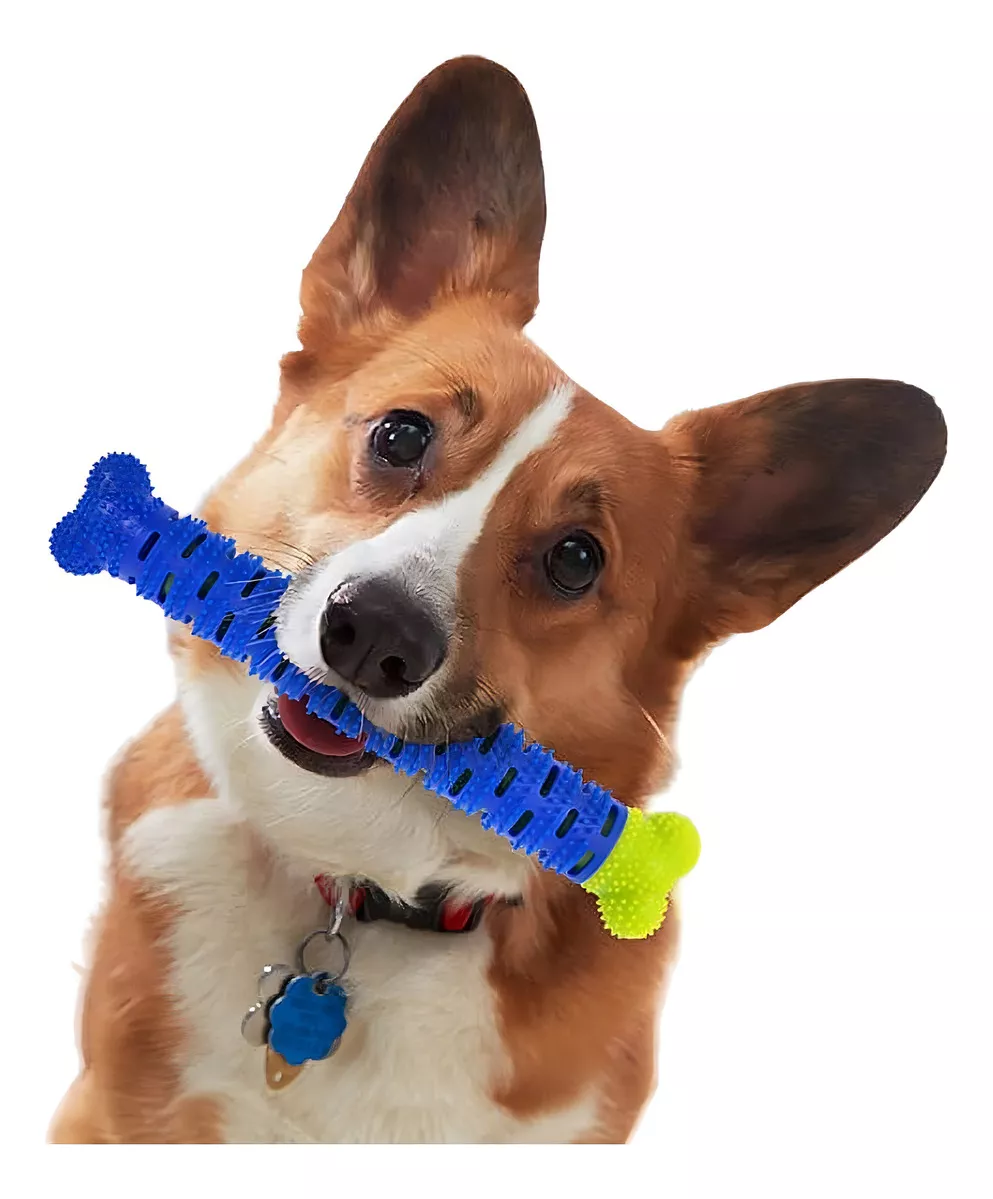 Juguete limpiador de dientes para perro